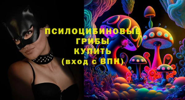 мдма Каменногорск