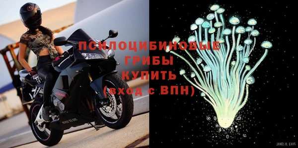 мдма Каменногорск