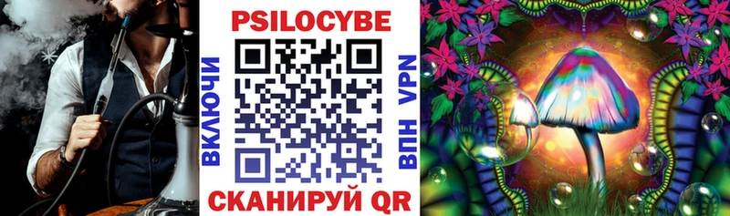 Псилоцибиновые грибы Psilocybe  Купить  Ишимбай 